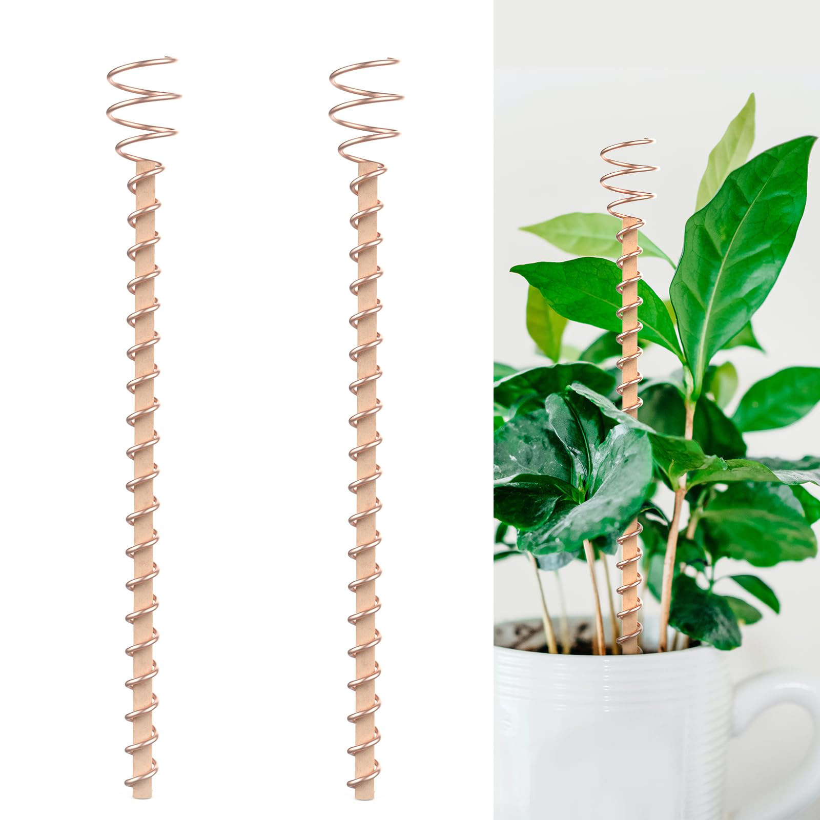 Copper Pancake Coil Antenna Plant Pile Gardening Planting - Image 6
