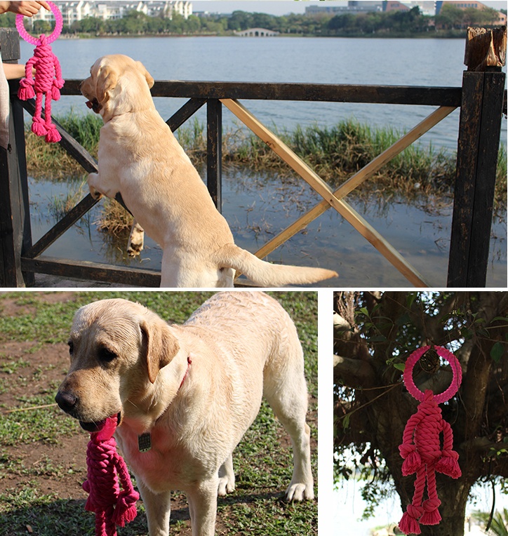 Big dog interactive knot toy - Image 4