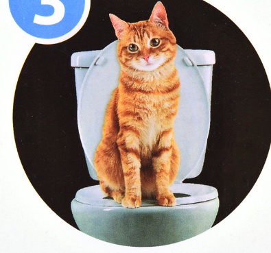 Pet Toilet Trainer catsCeaningTrainingToilet Supplies with Toilet Seat Lighting - Image 5