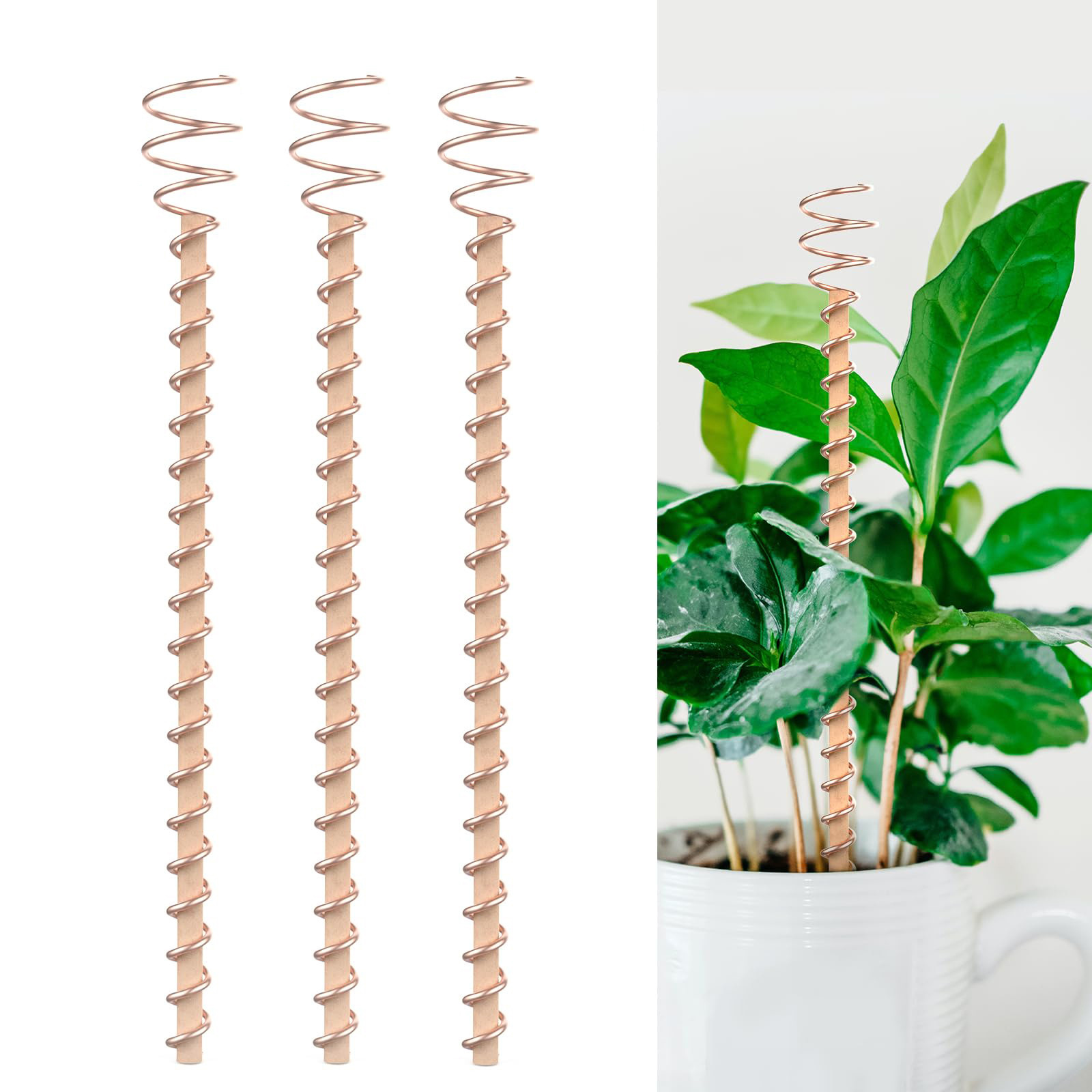 Copper Pancake Coil Antenna Plant Pile Gardening Planting - Image 2