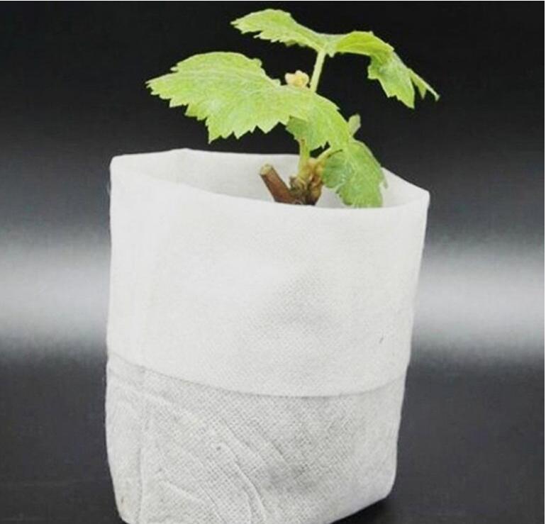 Non-woven seedling bag plant planting bag nutrition bag gardening - Image 7