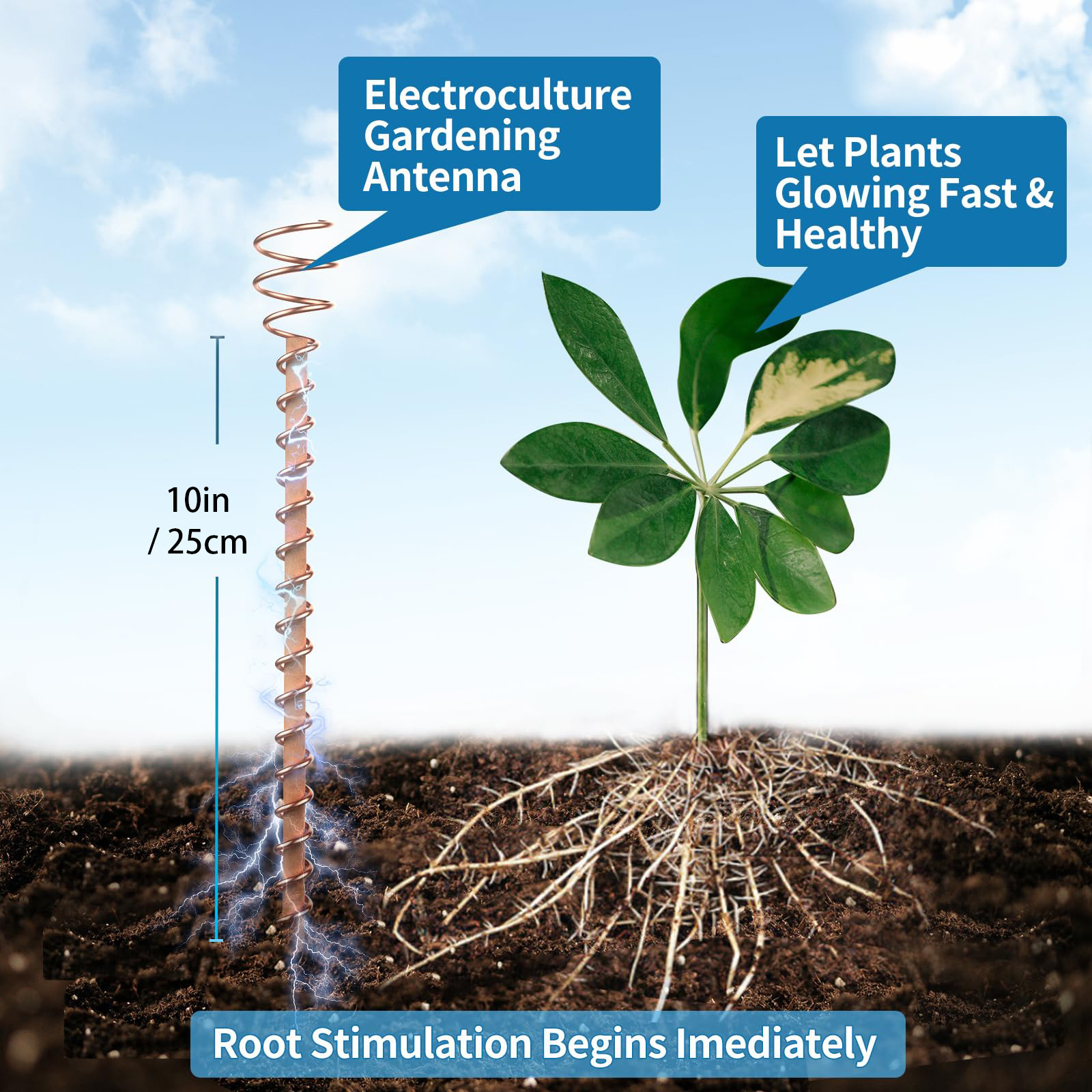 Copper Pancake Coil Antenna Plant Pile Gardening Planting - Image 5