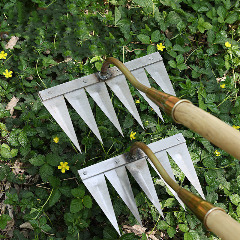 Household Digging And Planting Tools Hoe Tooth Rake - Image 3