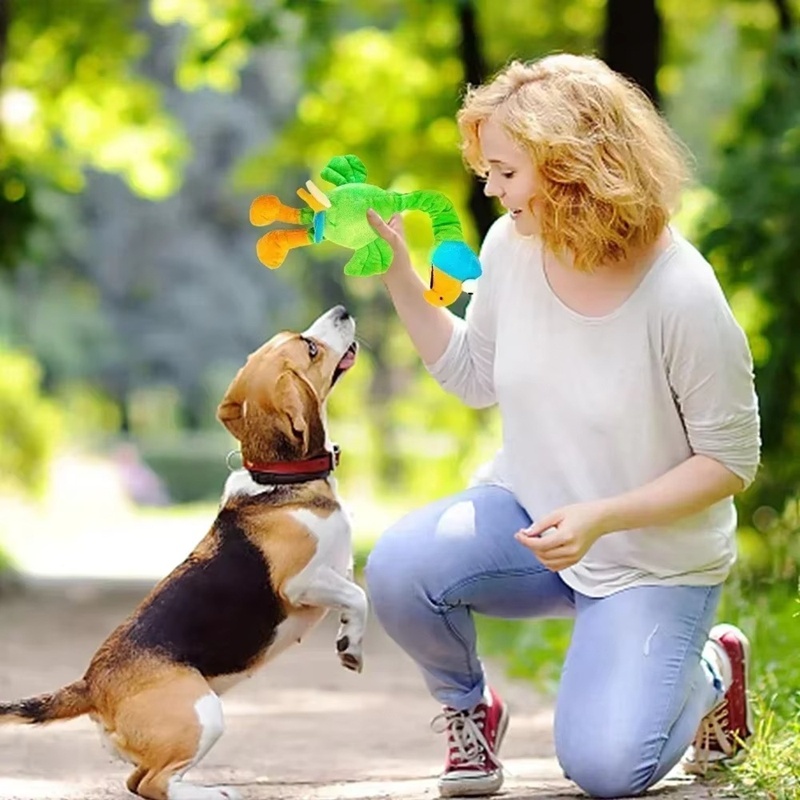 Pets Dog Toys Screaming Chicken Sound Toy Puppy Bite Resistant Chew Toy Interactive Squeaky Dog Toy Puppy Dog Accessories - Image 9