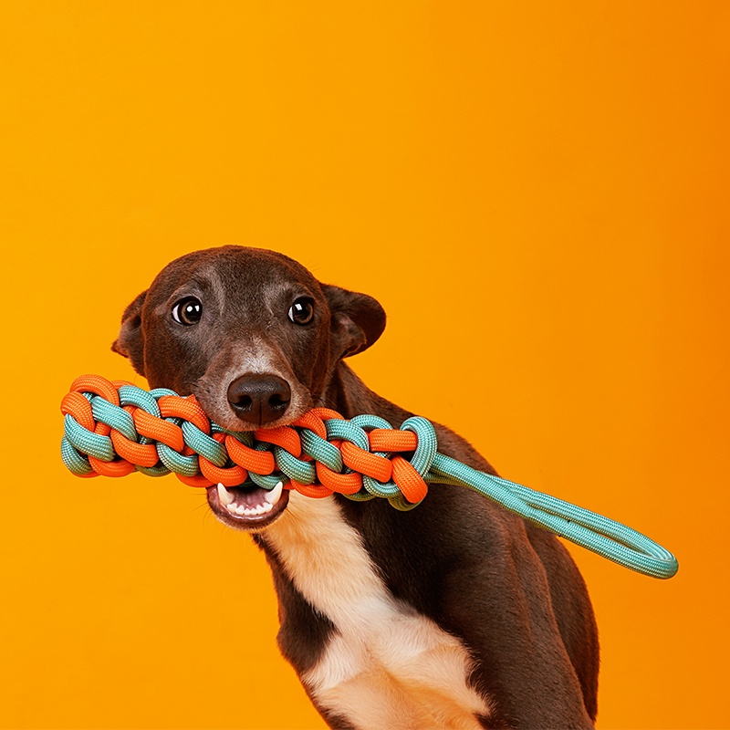 Interactive Small And Medium Adult Dog Puppy Dog Knot Toy