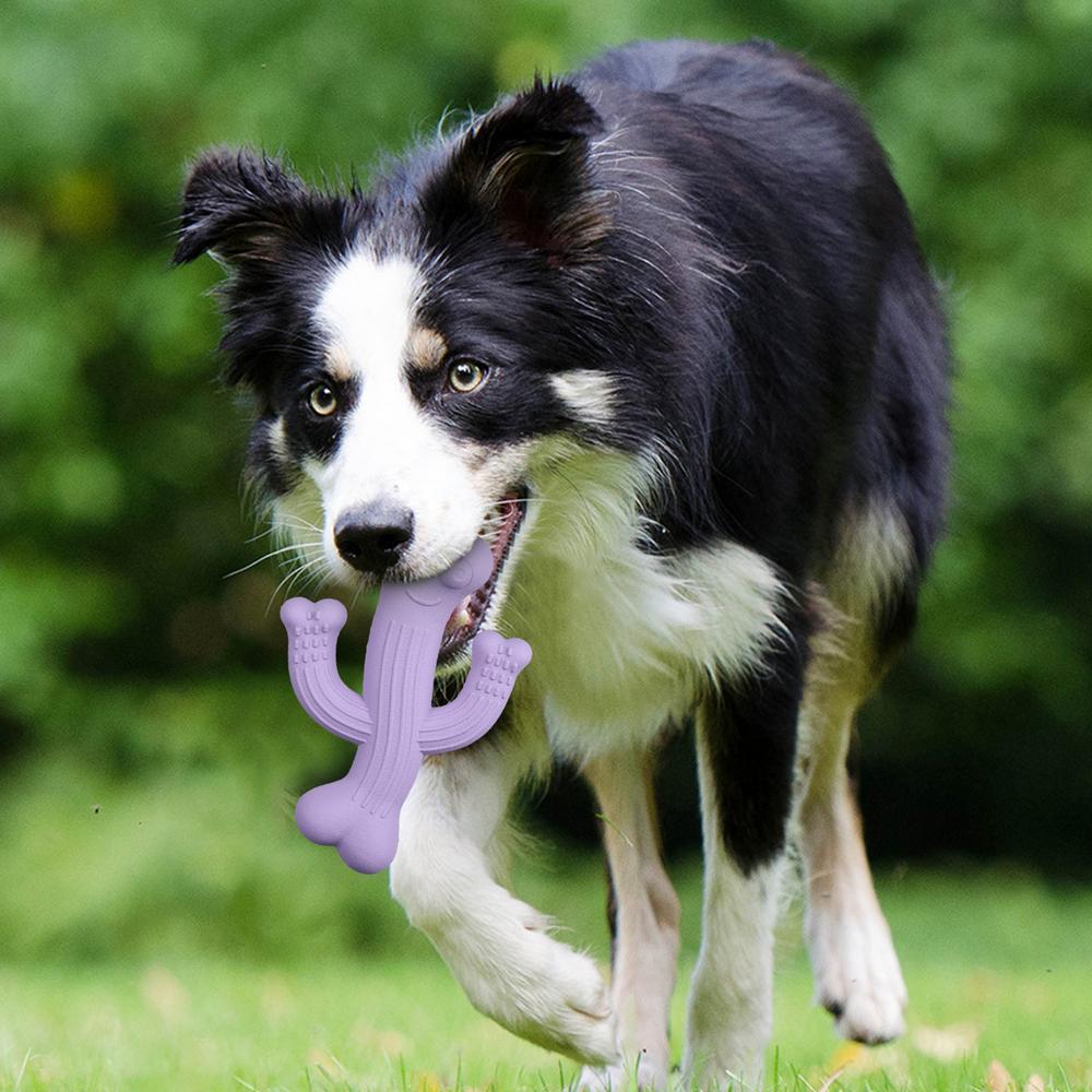 Cactus Puppy Chew Toy Cactus Dog Chew Toy Ultra Durable Dog Toy Interactive Dog Toys For Boredom Nearly Indestructible Dog Toys - Image 8