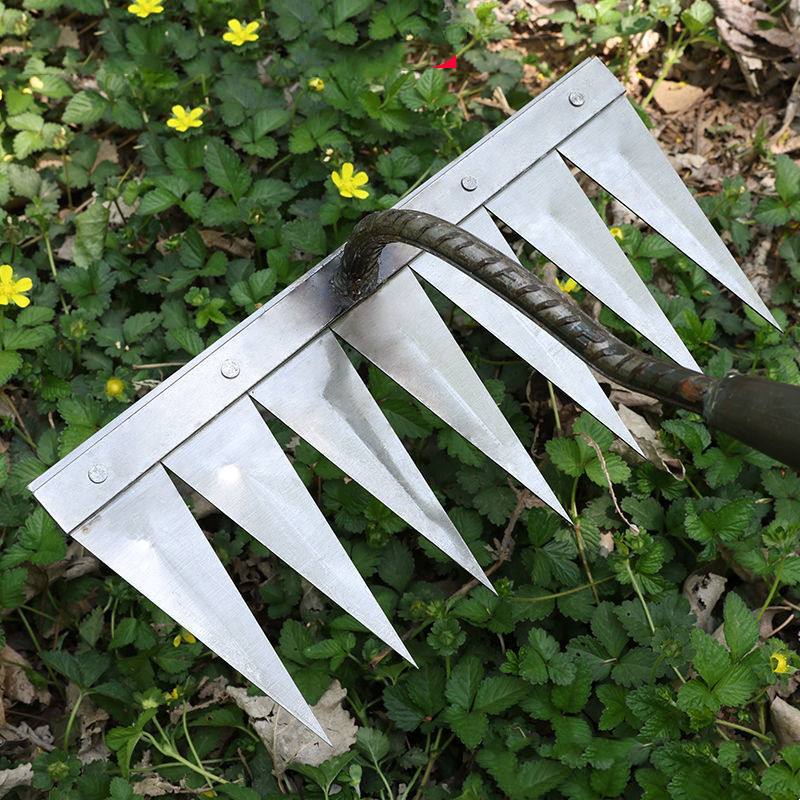 Household Digging And Planting Tools Hoe Tooth Rake - Image 10