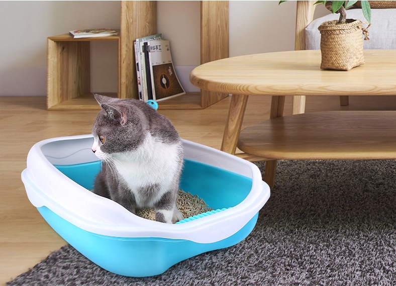 Semi Enclosed Cat Sized Thickened Splash Proof Toilet - Image 9