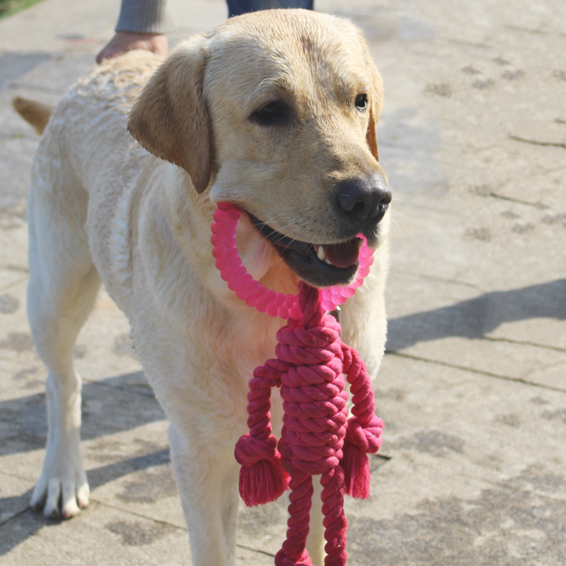 Big dog interactive knot toy - Image 2