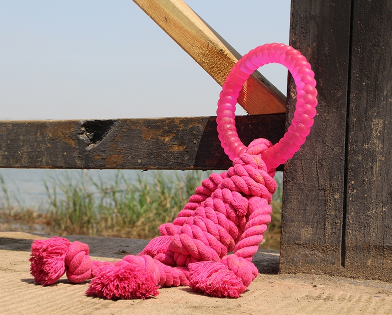Big dog interactive knot toy - Image 6
