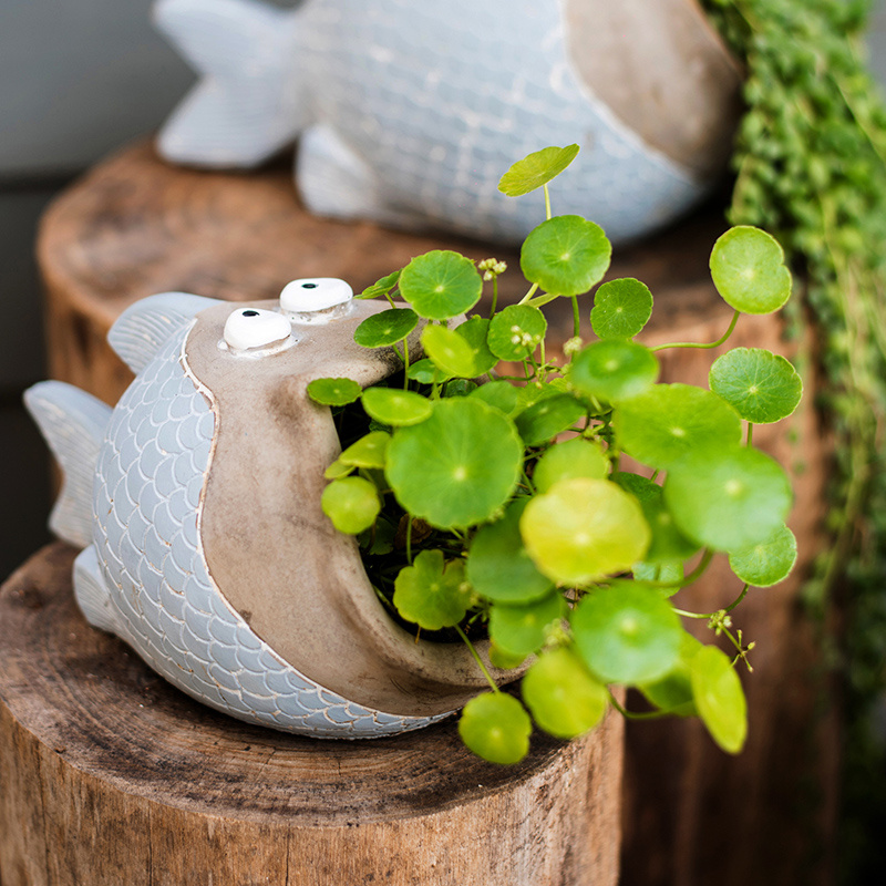 Planting Succulent Green Plants Hanging Gift Creative Flowerpot - Image 6