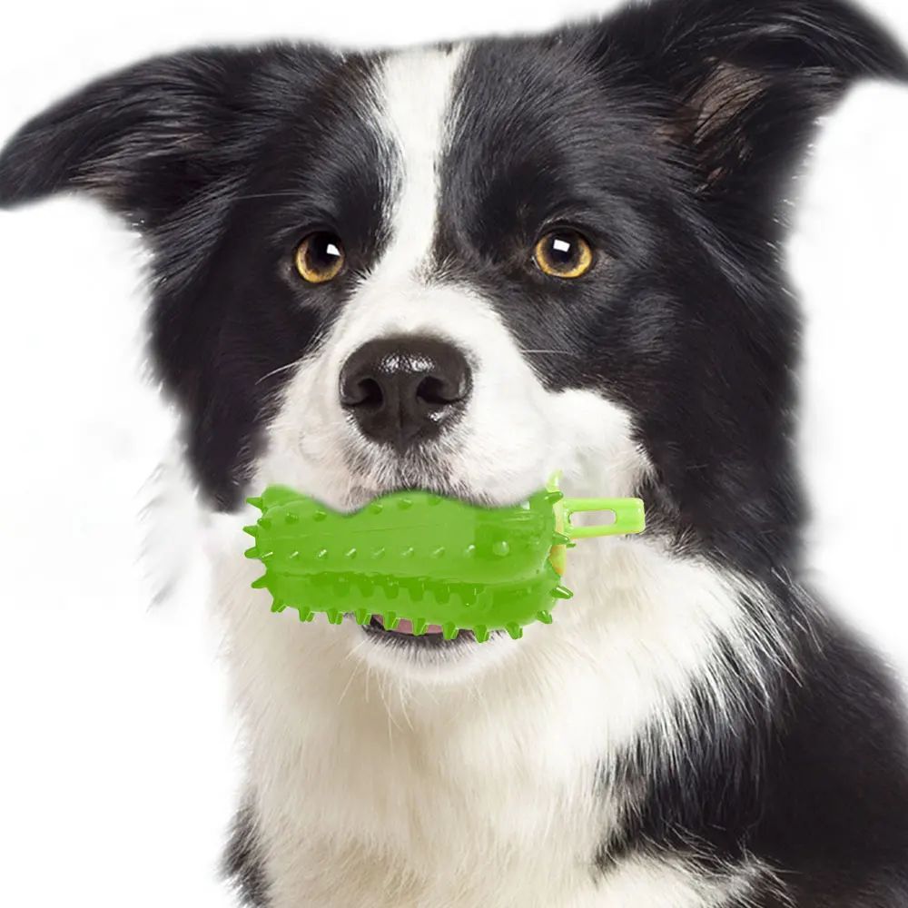 Interactive Dog Teething Chili Chewers Toy Interactive Toys Dog Toys - Image 10