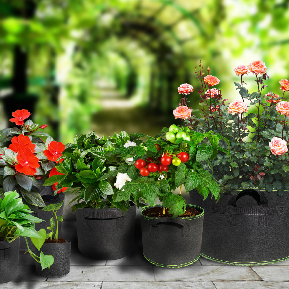 Planting Sack Black Non-woven Seedling Flower Pot - Image 10