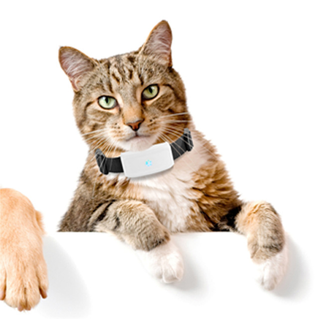 New Pet GPS Tracking Locator - Image 3