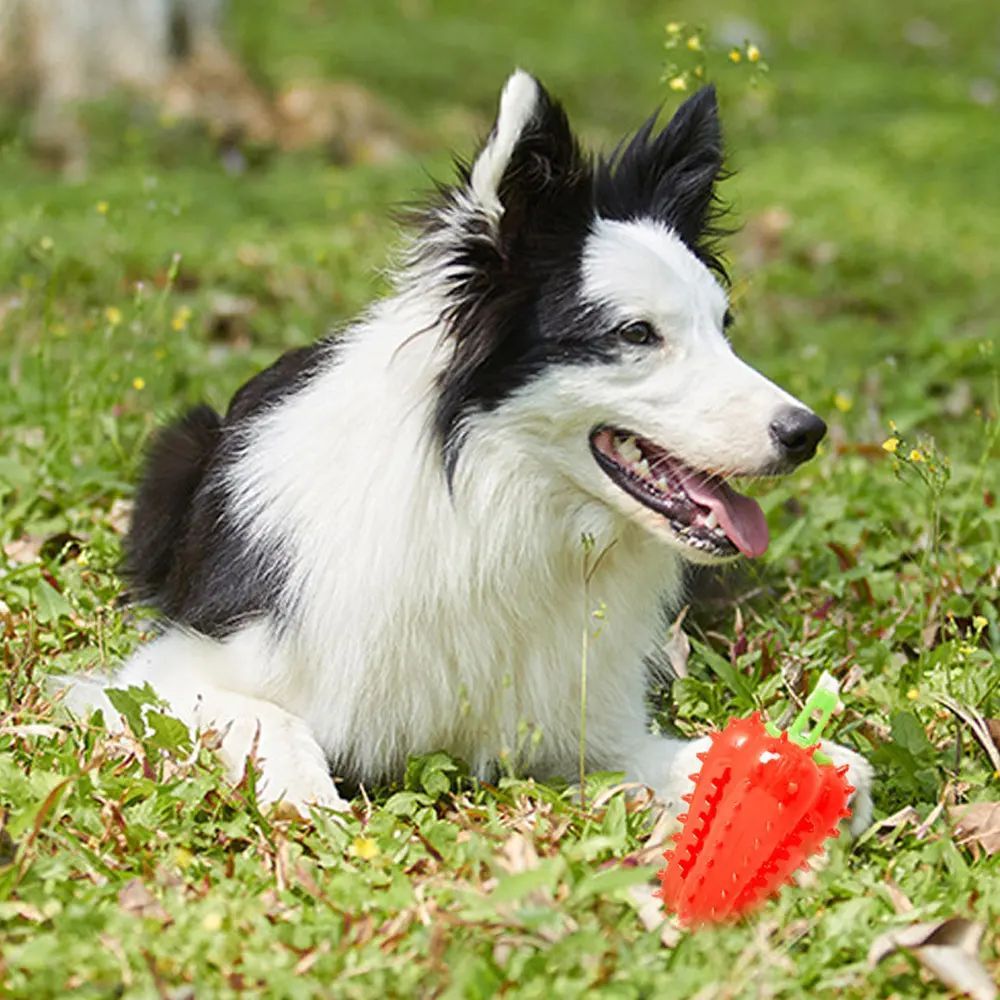 Interactive Dog Teething Chili Chewers Toy Interactive Toys Dog Toys - Image 6