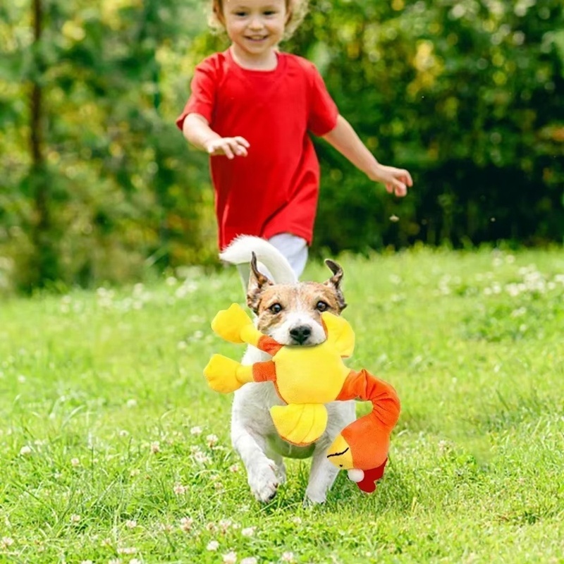 Pets Dog Toys Screaming Chicken Sound Toy Puppy Bite Resistant Chew Toy Interactive Squeaky Dog Toy Puppy Dog Accessories - Image 7